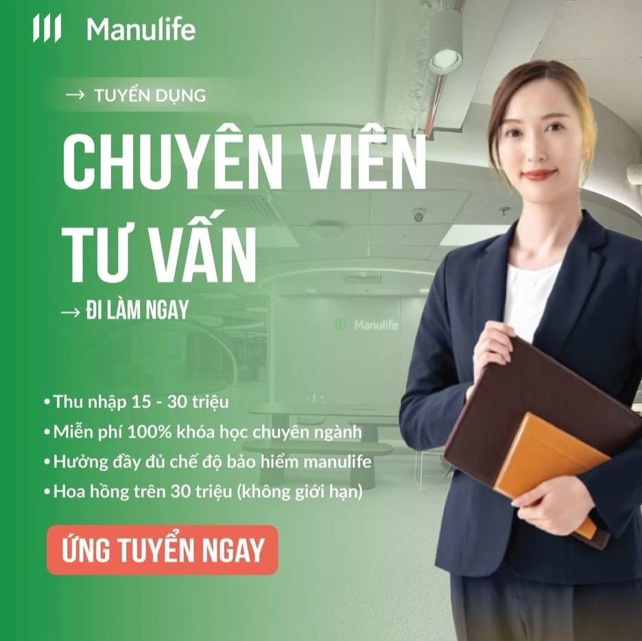 lĩnh vực hoạt động